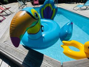 una piscina con un pato inflable de goma en una piscina en les gites du cocon, en Cadet