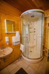 y baño con ducha y lavamanos. en Apartments with a parking space Donji Zvecaj, Karlovac - 22080 en Duga Resa