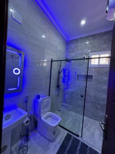 uma casa de banho com um chuveiro, um WC e um lavatório. em Majorstone Luxury Apartment em Ibadan