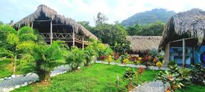 een resort met een tuin met palmbomen en huizen bij Encanto Hostel in Guachaca