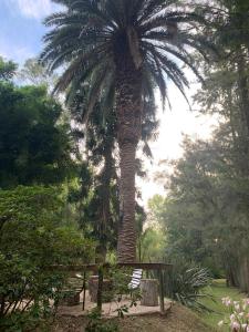 Gallery image of Cabañas El Tercer Ojo Tigre in Tigre