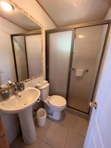 ein Bad mit einem WC, einem Waschbecken und einer Dusche in der Unterkunft Cabañas Rukaparra in Pinto