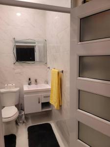 ein Badezimmer mit einem WC, einem Waschbecken und einem Spiegel in der Unterkunft D'Rhatid Mansion in Saint Mary