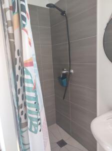 La salle de bains est pourvue d'une douche avec rideau de douche. dans l'établissement Chambres d'hôtes Tontouta Tamoa, à Païta