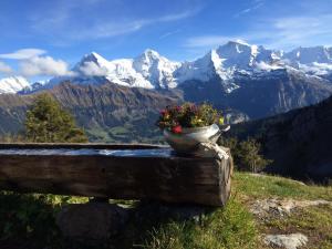 Foto dalla galleria di Sam & Cindy Mühlemann a Interlaken
