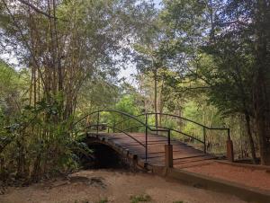 a wooden bridge over a tunnel in a forest at Pinthaliya Resort in Sigiriya
