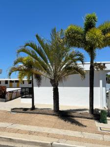 two palm trees in front of a building at The Queens Gladstone in Gladstone