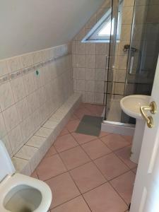 クリニツァ・モルスカにあるDom na Cichejのバスルーム(シャワー、トイレ、シンク付)