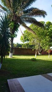 a park with palm trees and a fence and grass at Casa de Campo in Santa Cruz de la Sierra