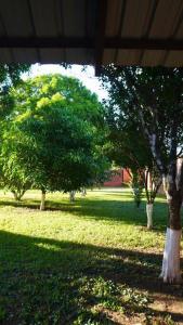 a group of trees in a grassy field at Casa de Campo in Santa Cruz de la Sierra