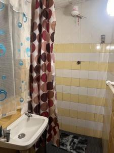 ein Bad mit einem Waschbecken und einem Duschvorhang in der Unterkunft Apartamento centrico en zona residencial in La Paz
