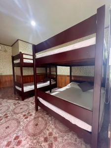 two bunk beds in a room with a carpet at Sunny Terrace in Baler