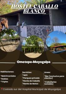a flyer for the houston zoo with the names of the attractions at Hostel Caballo Blanco in Moyogalpa