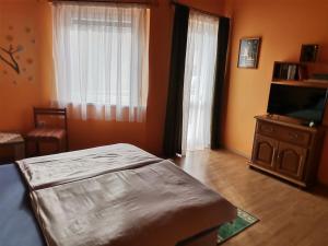 1 dormitorio con 1 cama y TV de pantalla plana en Fenyő Vendégház en Parádsasvár