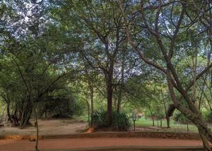 un bosque con árboles y un camino de tierra en Pinthaliya Resort en Sigiriya