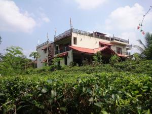 een gebouw bovenop een heuvel met struiken bij Manikgoda Tea Paradise in Matugama