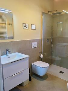 a bathroom with a toilet and a sink and a shower at Casa con ampio terrazzo, vista lago e giardino in Toscolano Maderno +39 photos