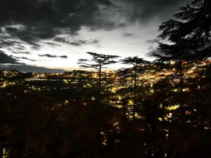 Blick auf eine nachts beleuchtete Stadt in der Unterkunft Shimla Royale - Mountain Zest in Shimla