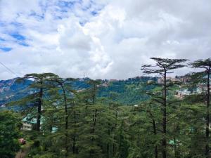 a group of trees in front of a mountain at Shimla Royale - Mountain Zest in Shimla