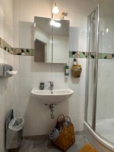 een badkamer met een wastafel, een spiegel en een douche bij Brauner Bär in Altenberg