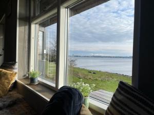 Loodusmaastik puhkemaja lähedal +11 fotot
