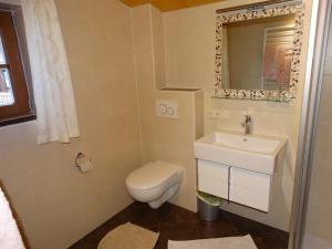 a bathroom with a toilet and a sink and a mirror at Bauernhof Sinnersberg in Kitzbühel