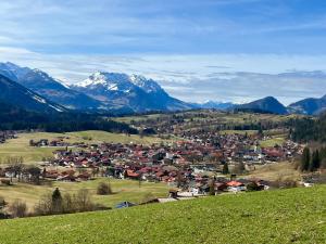 una pequeña ciudad en un valle con montañas nevadas en Ferienwohnung Alpstadl, en Reit im Winkl