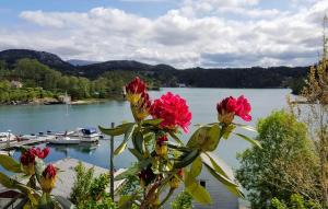 a view of a body of water with flowers at Cozy Apartment In Sveio With Kitchen in Sveio +13 photos