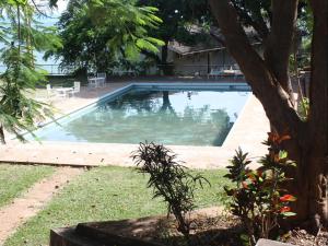 a swimming pool in the yard of a house at Cutty Sark Lodge in Kariba