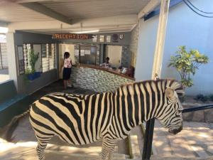 KaribaにあるCutty Sark Lodgeのレストランの前に立つ偽のシマウマ