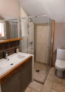 a bathroom with a shower and a sink and a toilet at Lakeview Family Apartment in Ringgenberg