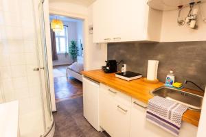 Vienna Living Apartments - Traisengasse tesisinde mutfak veya mini mutfak