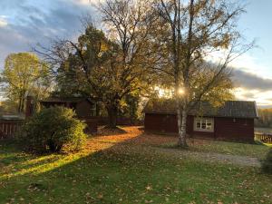 a small house in a yard with trees at Stuga från 1600 talet, 17th century cottage in Eskilstuna