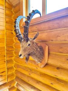 una estatua de una cabra con cuernos en una pared en Сакский Двор en Besqaynar