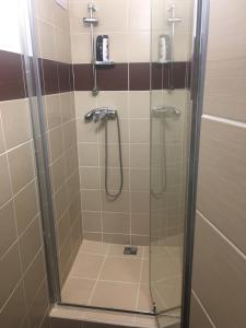 uma casa de banho com um chuveiro e uma porta de vidro em Apartmán em Cheb