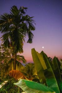 a palm tree with the moon in the background at Air Manis Hillside Villa Cafe & Resto in Padang