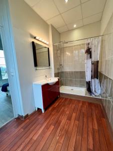 uma grande casa de banho com um lavatório e um chuveiro em Superbe Maison de maître 10 chambres 300 m2 Caen em Bretteville-sur-Odon