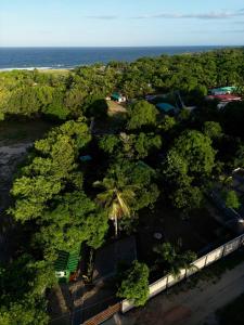 an overhead view of a park with trees and the ocean at Le Jardin Arhumatic in Sambava