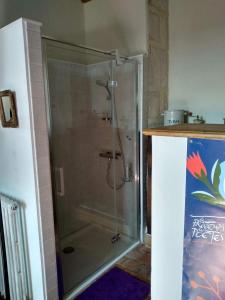 a shower with a glass door in a bathroom at Maison de Noble Nicolas in Avallon