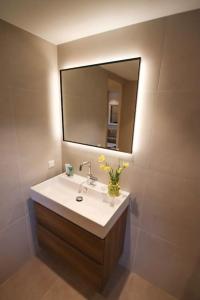 La salle de bains est pourvue d'un lavabo et d'un miroir. dans l'établissement Volendam Lakeside Retreat - 20 min from Amsterdam, à Volendam