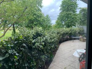 a hedge of bushes with trees and a patio at Appartement familial tt confort JO paris in Saint-Cloud