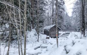 una baita di tronchi nella neve in una foresta di Stunning Home In lvdalen With Sauna ad Älvdalen