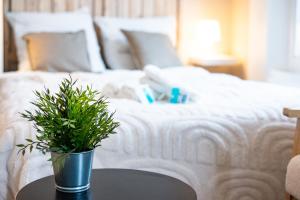 una maceta sentada en una mesa junto a una cama en Le Clocher - Quai De La Loire - Netflix, en Tours