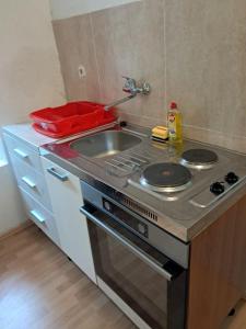 a kitchen with a stove and a sink in a room at Studio Apartman Ivanka in Orebić