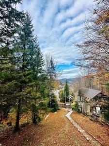 a view of a yard with trees and a house at Wild House in Sinaia