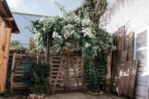Fotografie z fotogalerie ubytování Di House Đà Lạt v destinaci Da Lat
