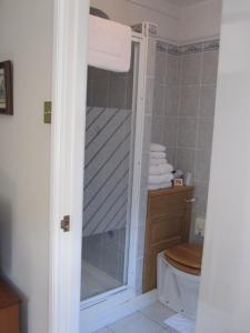 a bathroom with a shower with a toilet and towels at Clayhill House Bed & Breakfast in Lyndhurst