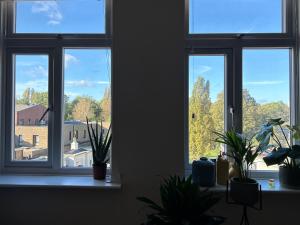 um grupo de janelas num quarto com vasos de plantas em Spacious and Bright Apartment em Londres