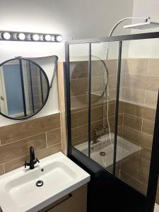 uma casa de banho com um lavatório e um espelho em Bel appartement proche du centre ville em Montpellier