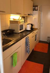 uma cozinha com um lavatório e um fogão forno superior em Chambre Confortable disponible à Genève em Genebra